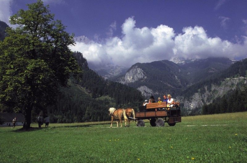 Berglandschaft